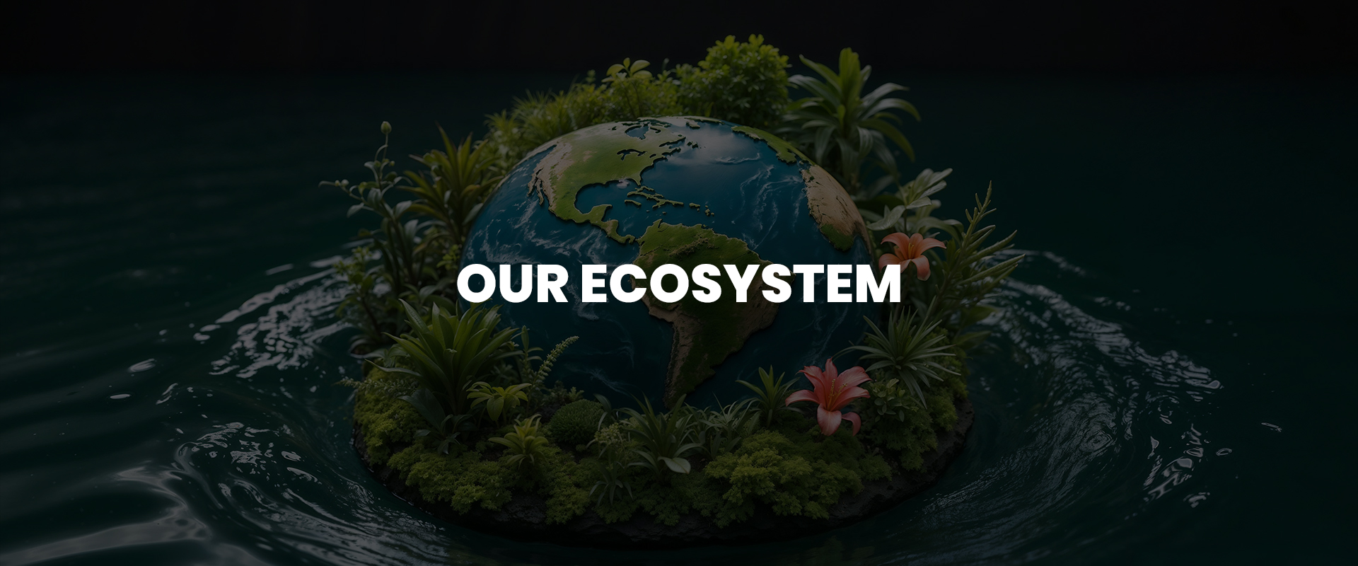 Trigyn Overview